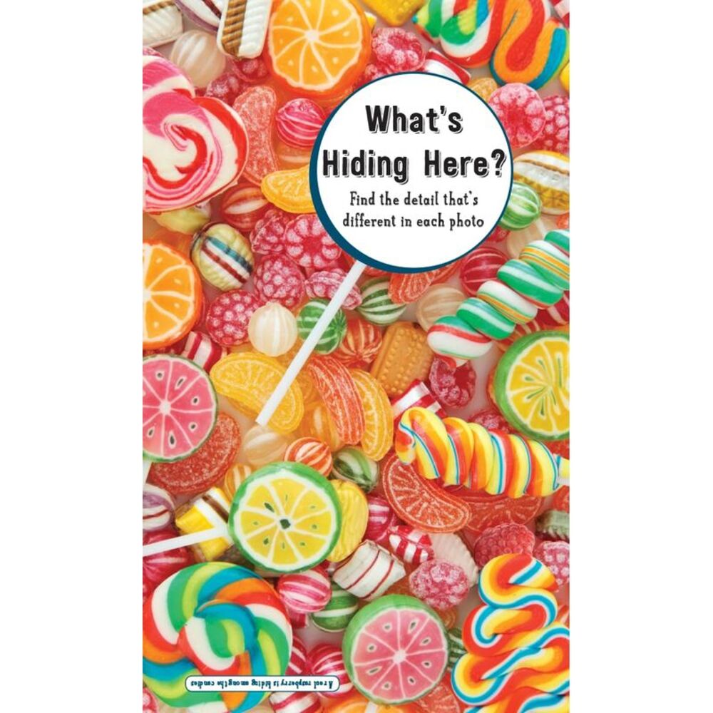 What's Hiding Here? Puzzle Book
